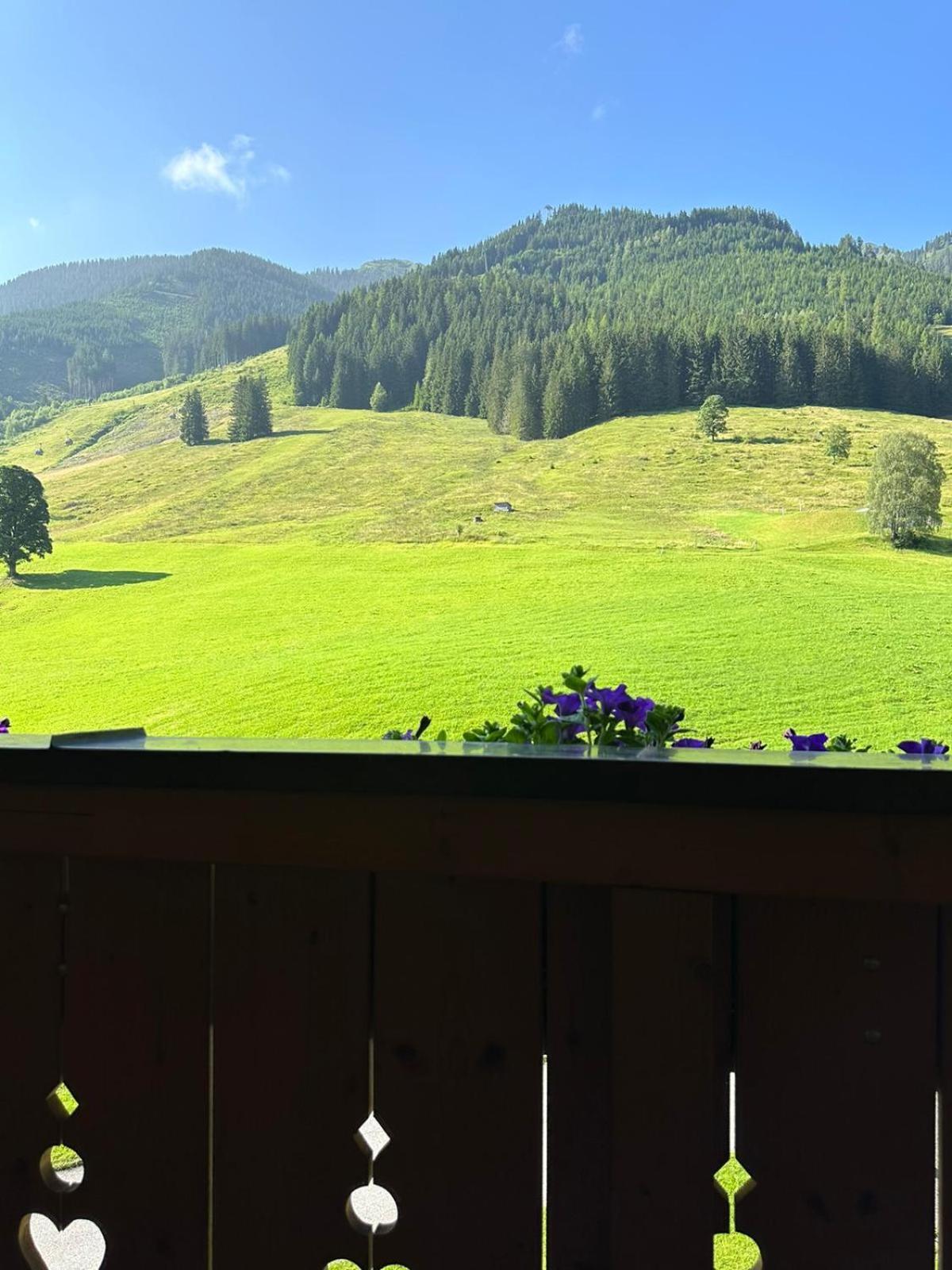 Sportpension Enzian Gasthuis Saalbach-Hinterglemm